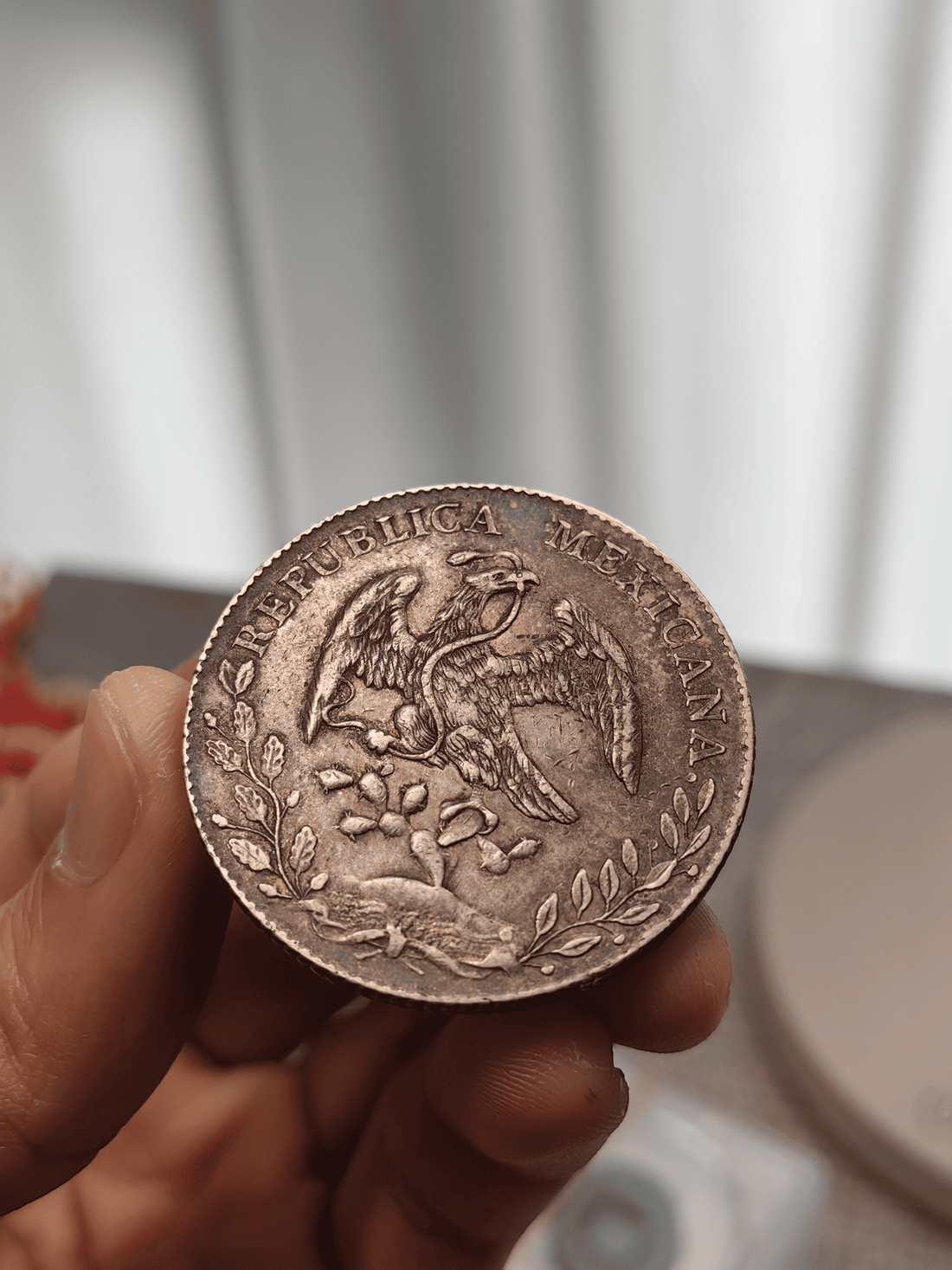 歲月留金、溫情傳承：記西環陳伯割愛出售1890年墨西哥鷹洋的故事